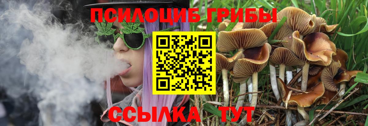 Галлюциногенные грибы ЛСД Аша