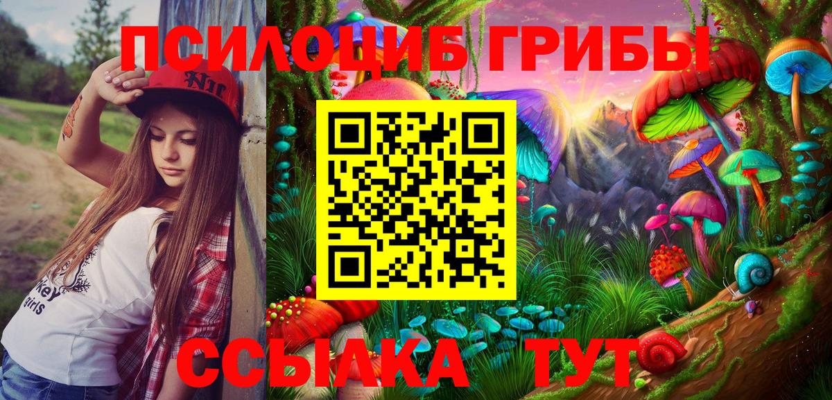 Галлюциногенные грибы прущие грибы  Галлюциногенные грибы прущие грибы  Вход с VPN  Аша 